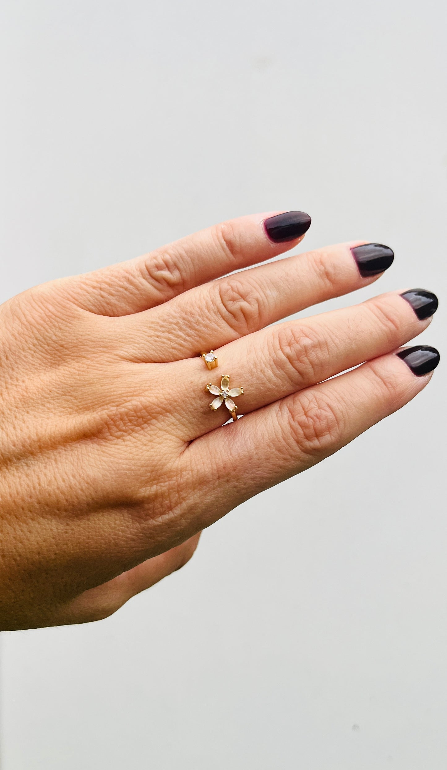 Anillo Storni