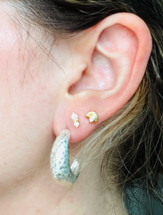 Pendientes Aral