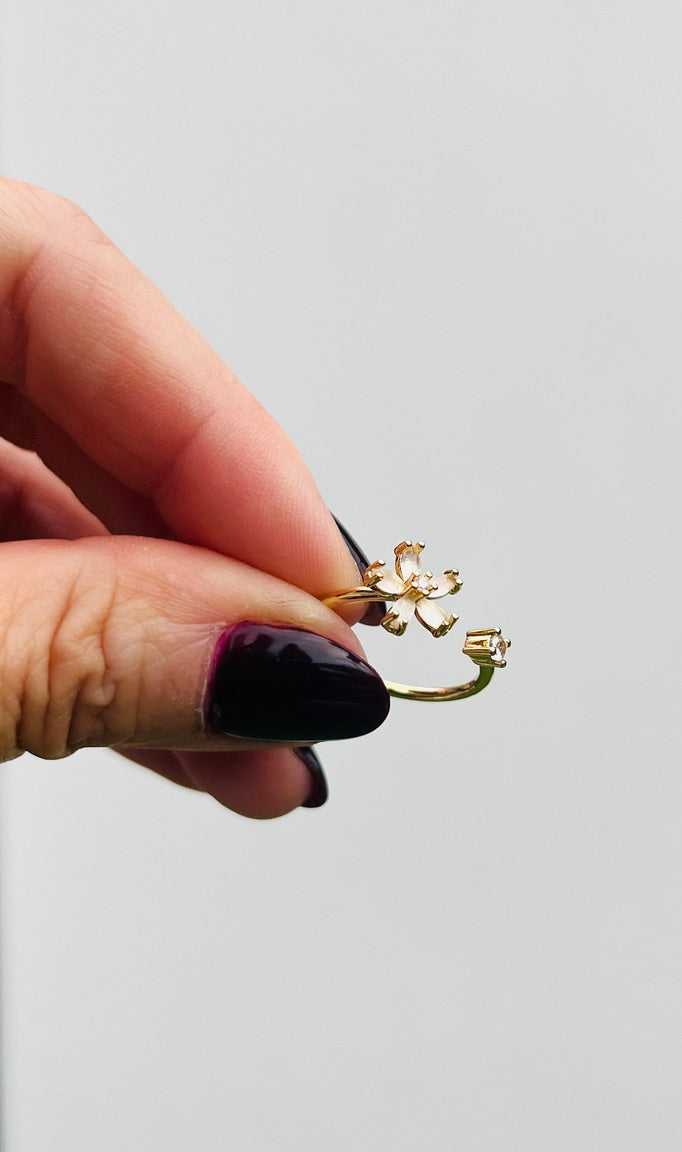 Anillo Storni